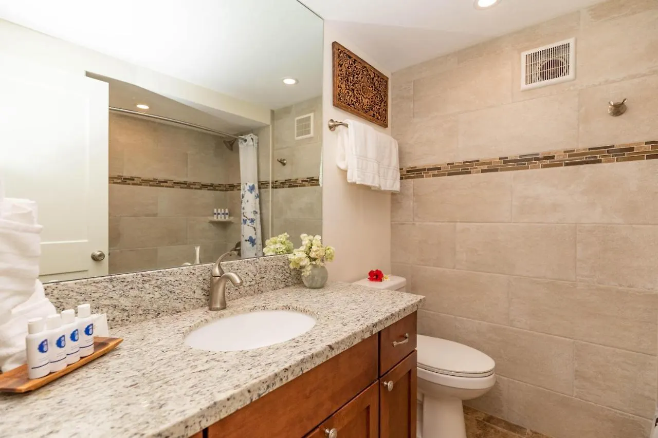 Holiday home Kaleialoha 403 Villa Kahana United States
